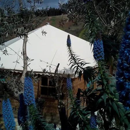 Glamping With Pool Near Caldas&Peniche * カルダス・ダ・ライーニャ