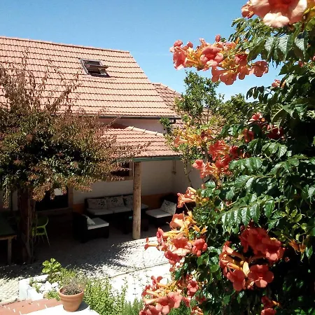 シャレー Glamping With Pool Near Caldas&Peniche