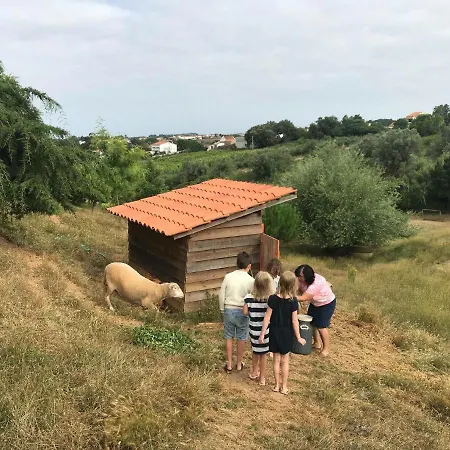 Glamping With Pool Near Caldas&Peniche シャレー カルダス・ダ・ライーニャ