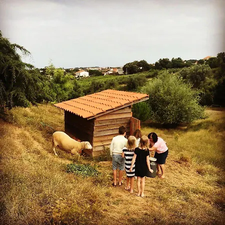 Glamping With Pool Near Caldas&Peniche